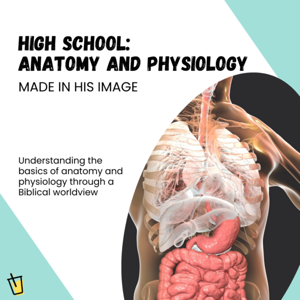 High School Anatomy and Physiology, Made in His Image, Understanding the basics of anatomy and physiology through a Biblical worldview