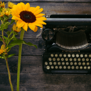 Middle School English Language Arts: The Essentials A