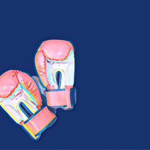 Assert, Support, Reason, & Counter: The Argument Essay