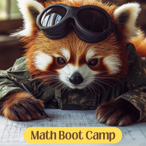 7th/8th Grade Bootcamp Review: Finding the Area of Complex Shapes