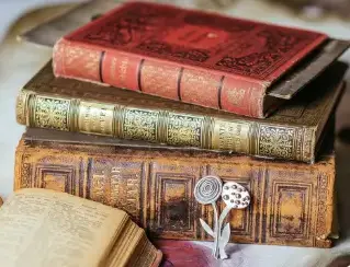 So the Story Goes: Summer Reading and Literary Analysis