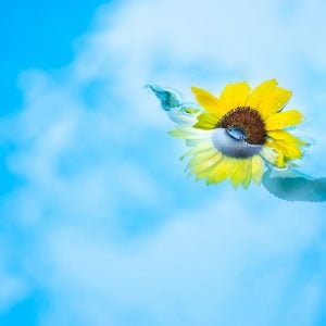 A Cut Above: Intro to Sophisticated Writing