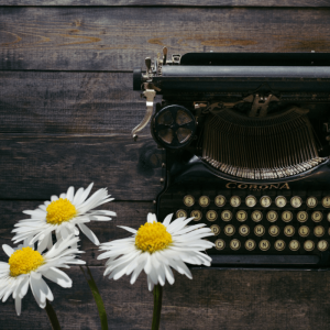Middle School English Language Arts: The Essentials B