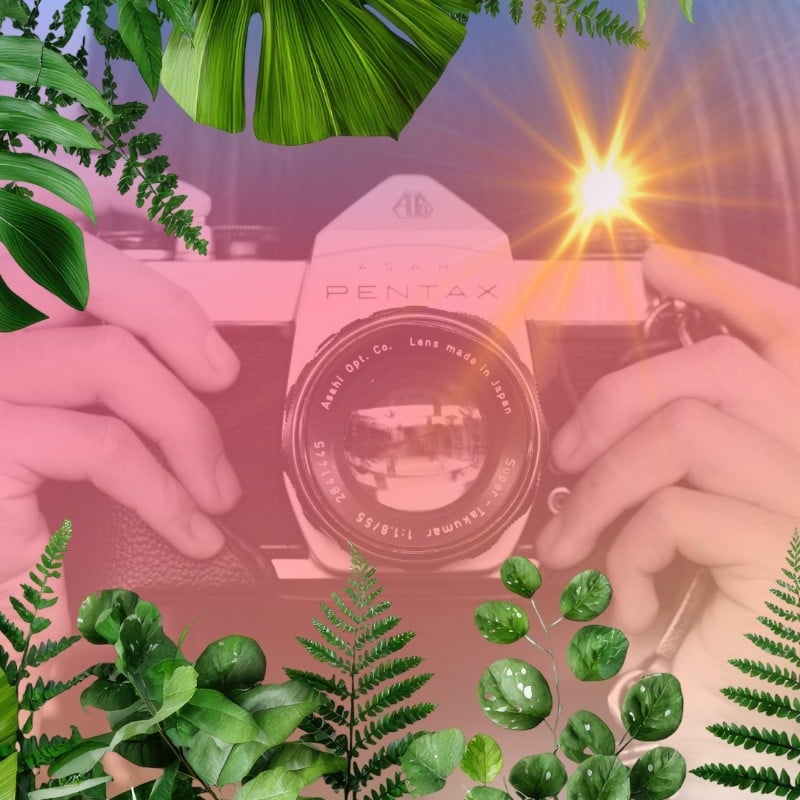 Teen Photography